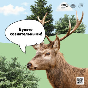 О проведении информационно-просветительской кампании по популяризации раздельного сбора и осознанного потребления