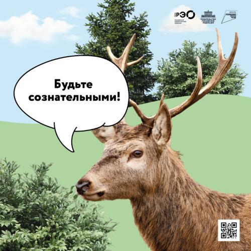 О раздельном сборе мусора и осознанном потреблении